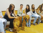 web_Therapiehunde_Juni23_IMG_20230613_102750.jpg