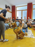 web_Therapiehunde_Juni23_IMG_20230613_105816.jpg