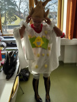 web_20250304_093544.jpg